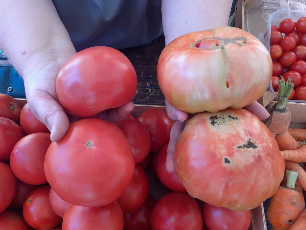 Priče s pazinske tržnice (5): starinski pohani pomidori